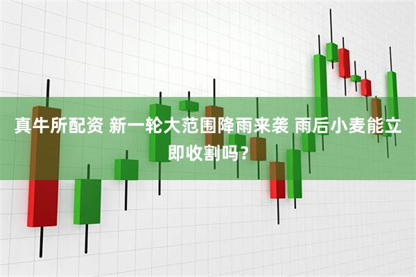 真牛所配资 新一轮大范围降雨来袭 雨后小麦能立即收割吗？