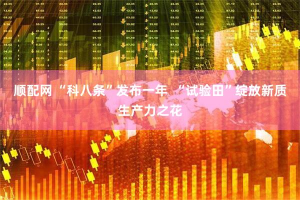 顺配网 “科八条”发布一年  “试验田”绽放新质生产力之花