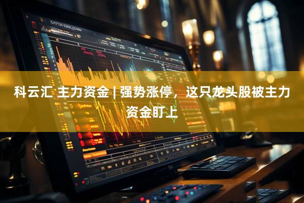 科云汇 主力资金 | 强势涨停，这只龙头股被主力资金盯上