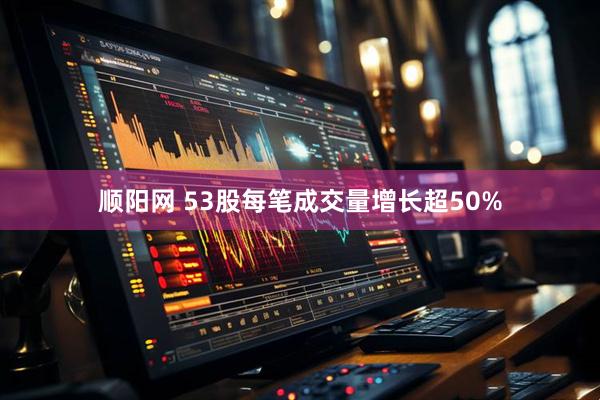顺阳网 53股每笔成交量增长超50%