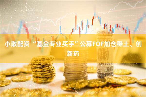 小散配资 “基金专业买手”公募FOF加仓稀土、创新药