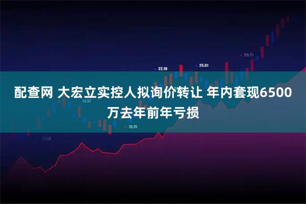 配查网 大宏立实控人拟询价转让 年内套现6500万去年前年亏损