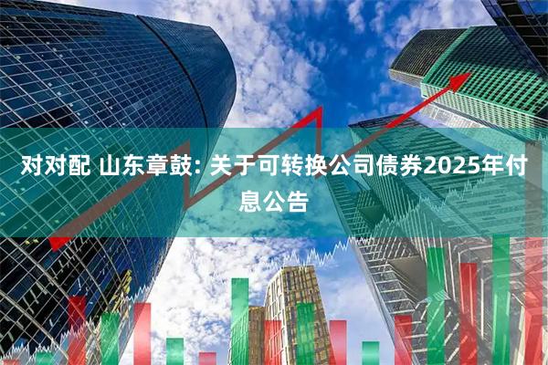 对对配 山东章鼓: 关于可转换公司债券2025年付息公告
