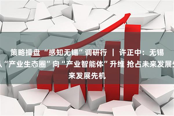 策略操盘 “感知无锡”调研行 ｜ 许正中：无锡可从“产业生态圈”向“产业智能体”升维 抢占未来发展先机