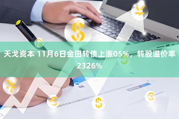 天戈资本 11月6日金田转债上涨05%，转股溢价率2326%